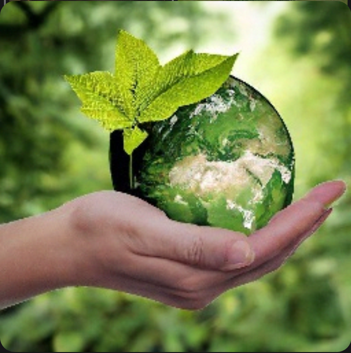 Фото взято из свободного источника