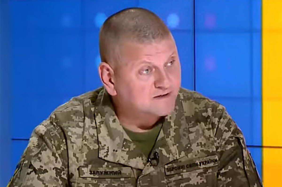    Валерий Залужный