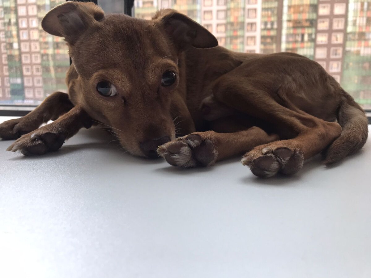 Фото сделано владельцем канала.  Тимофей .