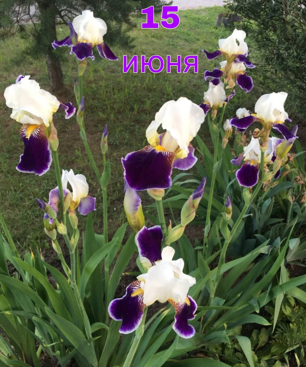 Прошла 1/6 лета. Все ли успевают наслаждаться долгожданными тёплыми деньками? :)