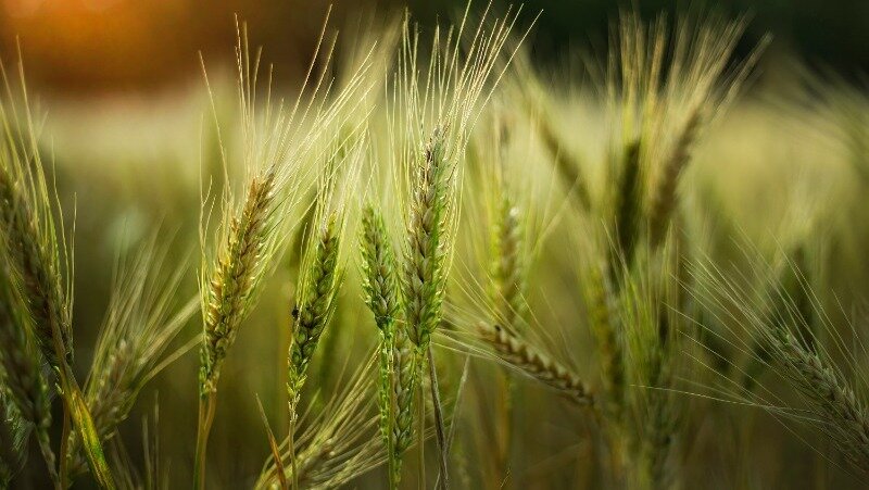 Фото: @wirestock / ru.freepik.com