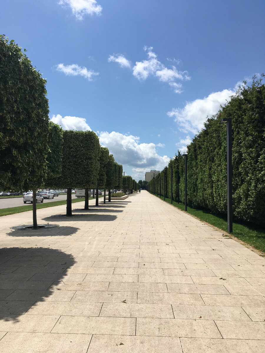 На противоположной улице от парка. Чтобы попасть в него, нужно перейти дорогу