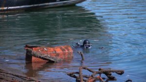    Фото: t.me/vsolodovbrief