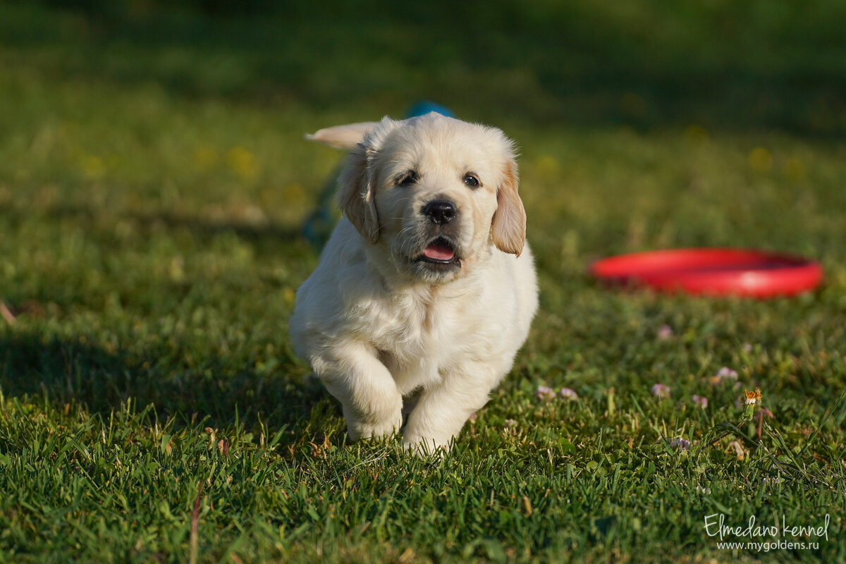 Фото автора.