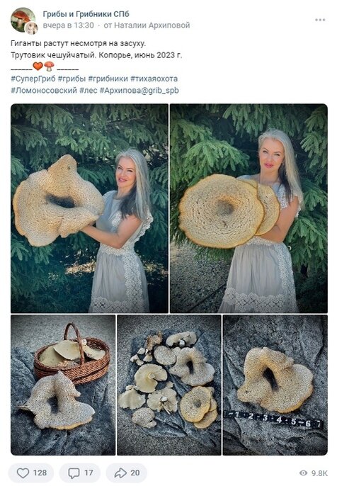    Счастливый грибник с грибом-гигантомСоцсети