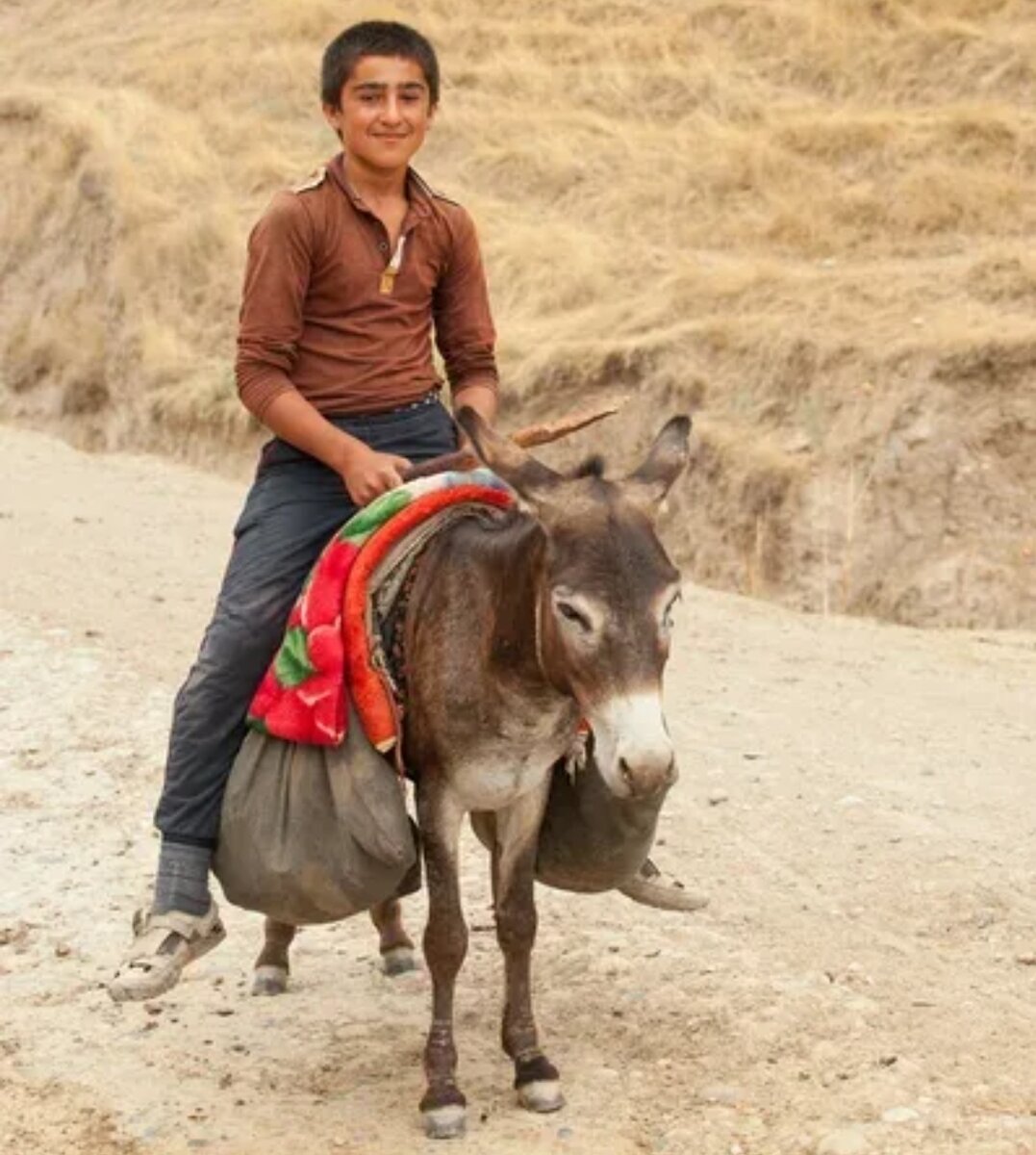 Притча о чужом мнении 