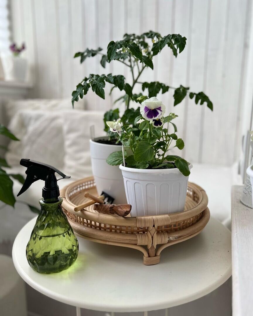     Фото: @venera_hygge