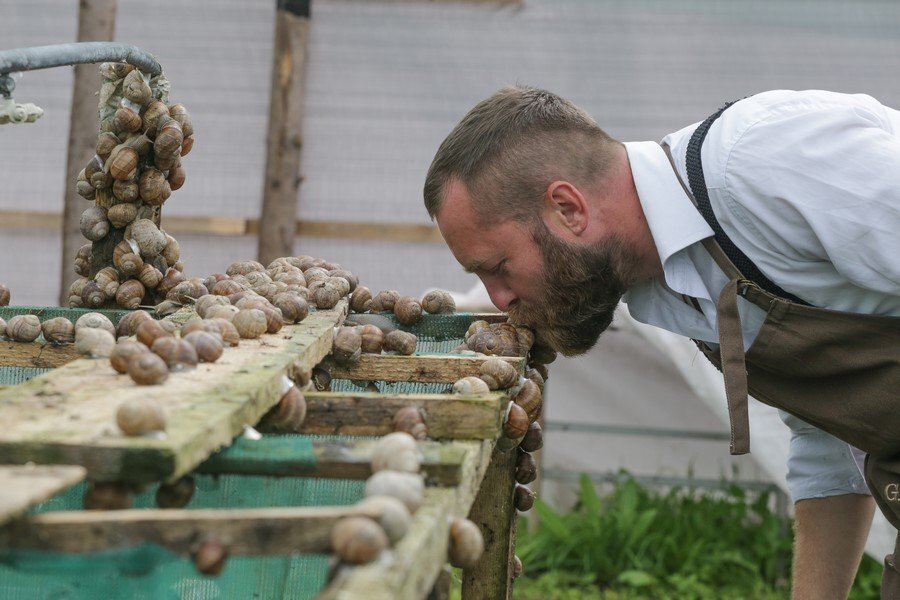 В Тверской области рассказали, где можно увидеть нетипичных для региона животных