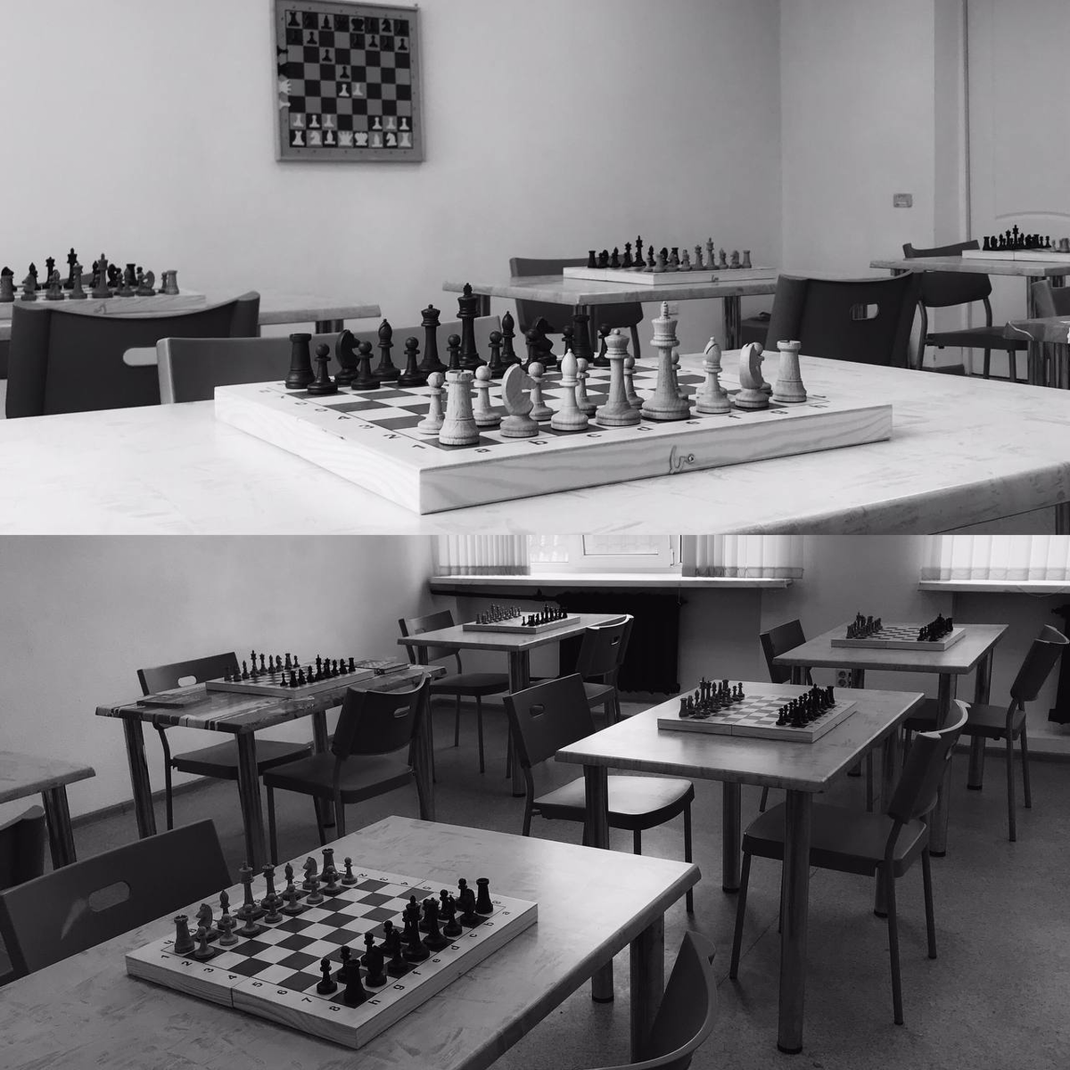 Шахматный клуб «Ход». Фото перед открытием