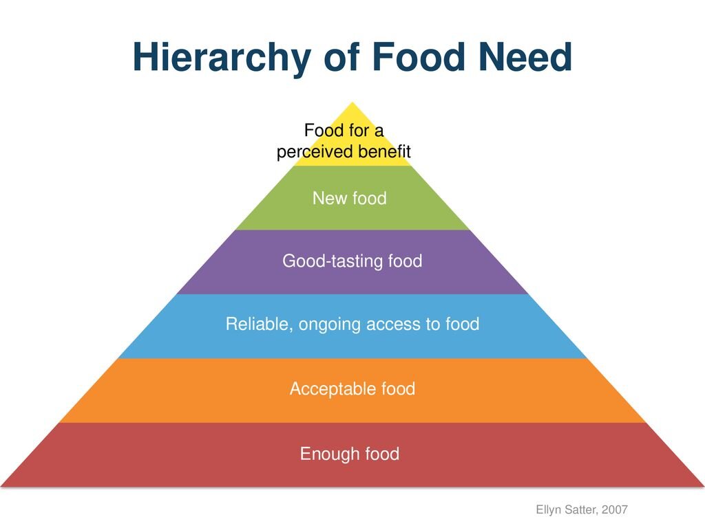 Иерархия пищевых потребностей Эллин Сэттер
