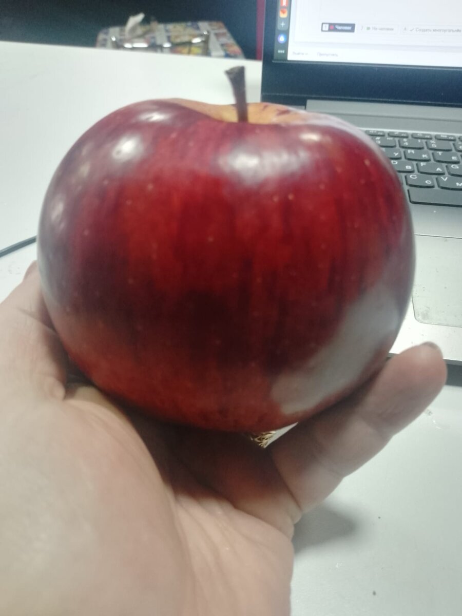 У какой Белоснежки отобрал интересно?))))