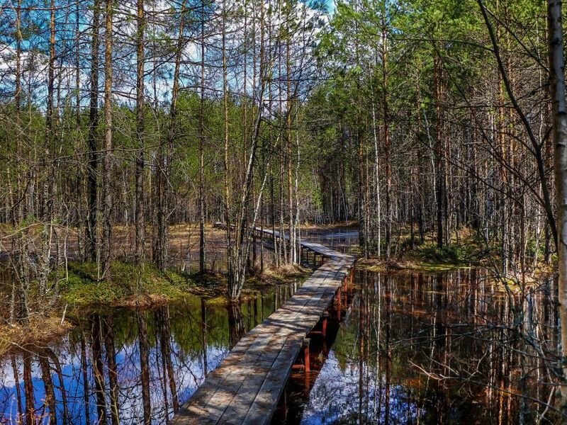 Заповедники нижегородской области картинки