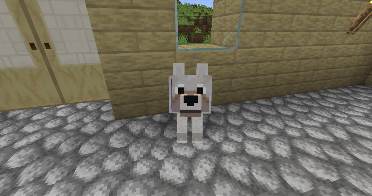 Мой новый питомец) 