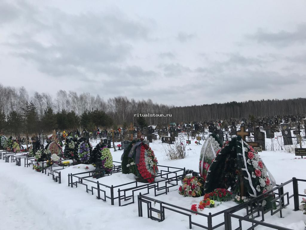 Фотография взята из источника yandex.ru 