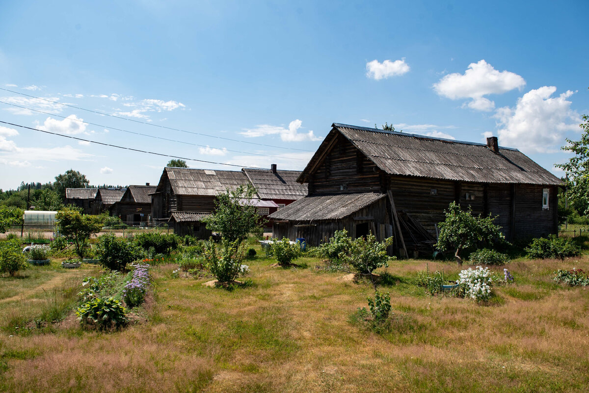 фото из открытых источников