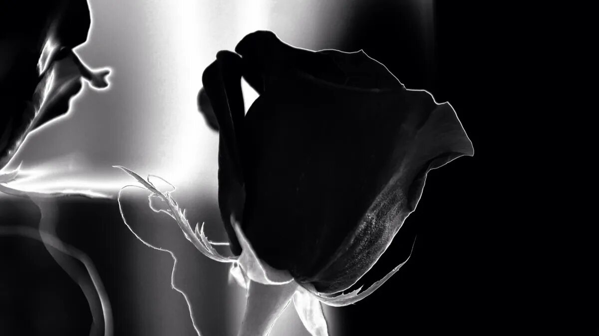 Семья тяжело переживала утрату. Фото: pxhere.com