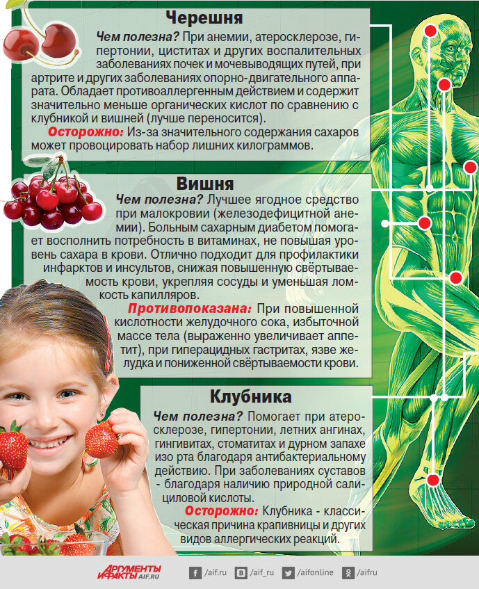    Инфографика АиФ / Юлия Аганина