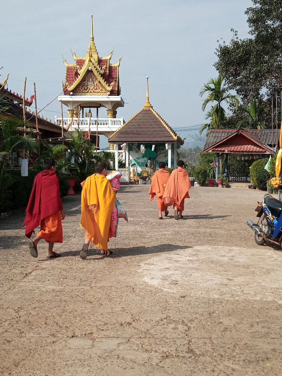 Юные монахи 