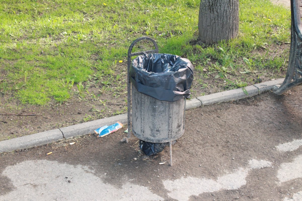 Мусорка в Рыбнице