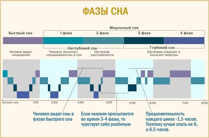 как минимум должно быть 5 таких фаз за ночь (фото с интернета) 