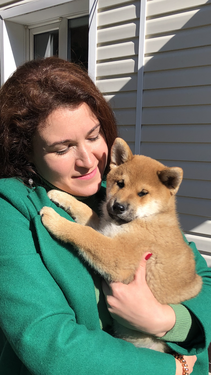 8 сентября 2022 мы познакомились, и собачка уже на ручках у меня сидит).