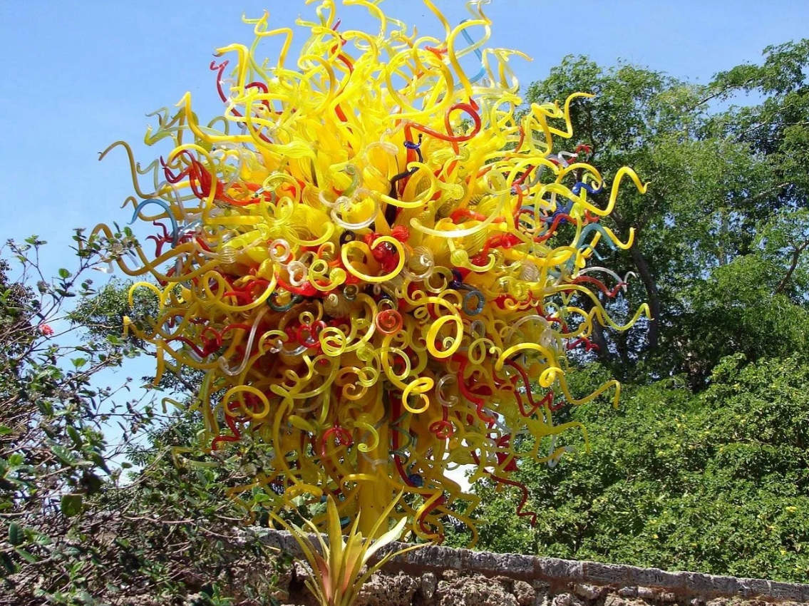 Самые самые в мире листьев. Капур качари растение. АМБХАЛАБХАРА дерево в Индии. Необычные цветы. Экзотические деревья.