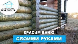 Как покрасить сруб бани снаружи и внутри