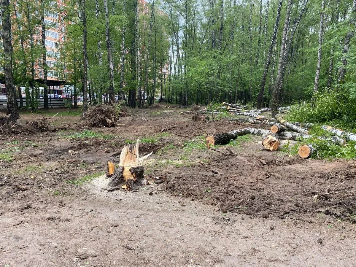 Фото: предоставлено Царьграду местными жителями.