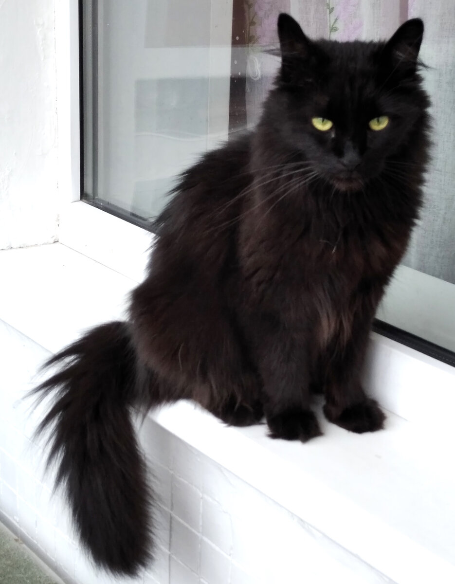 Опять про меня пишешь... Смотри, только хорошее пиши. 