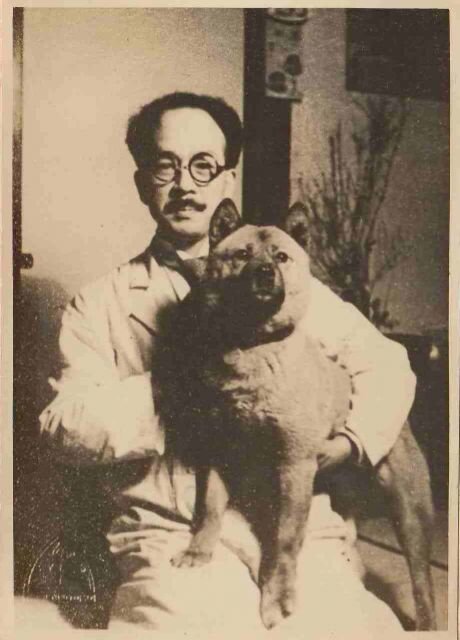 Г-н Цурукичи Накамура, занимался восстановление породы сиба-ину.