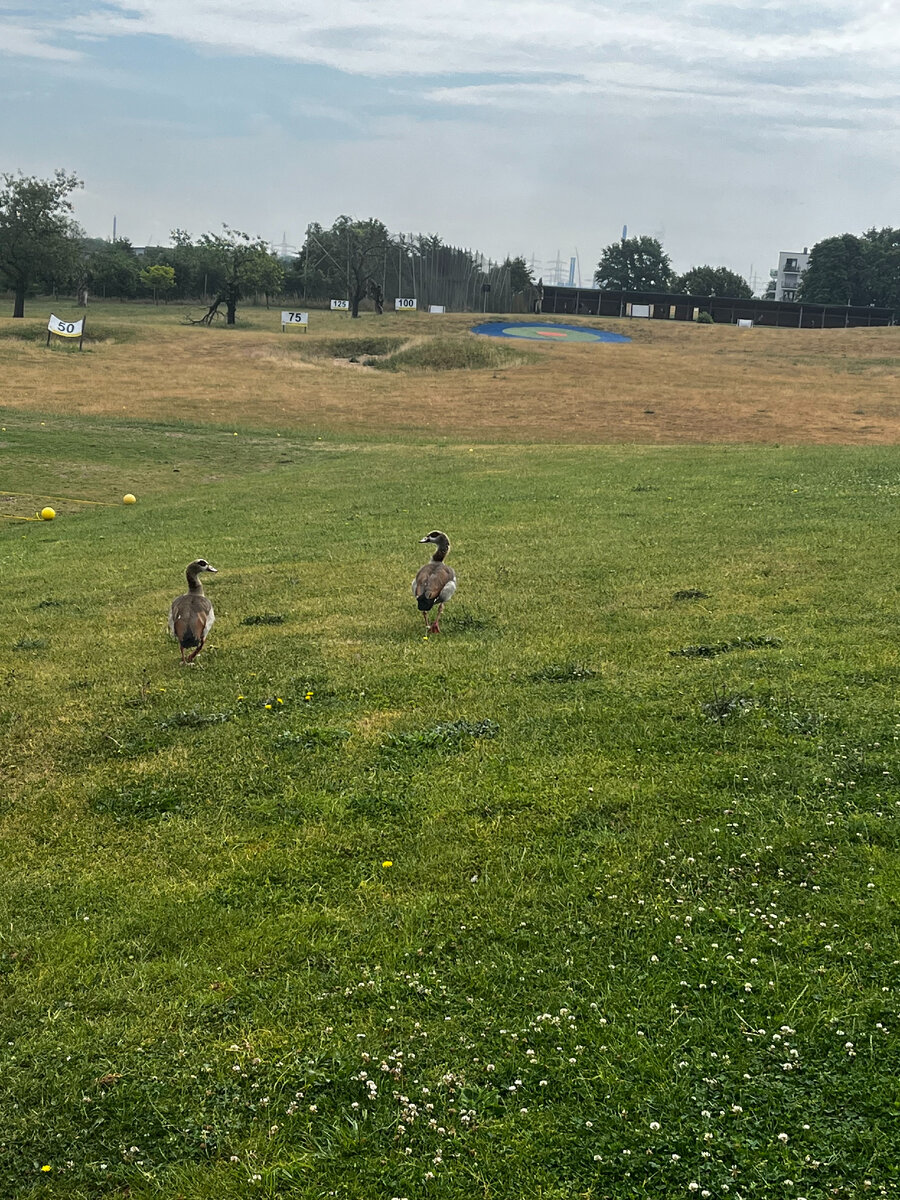 Люди были. Но мало...