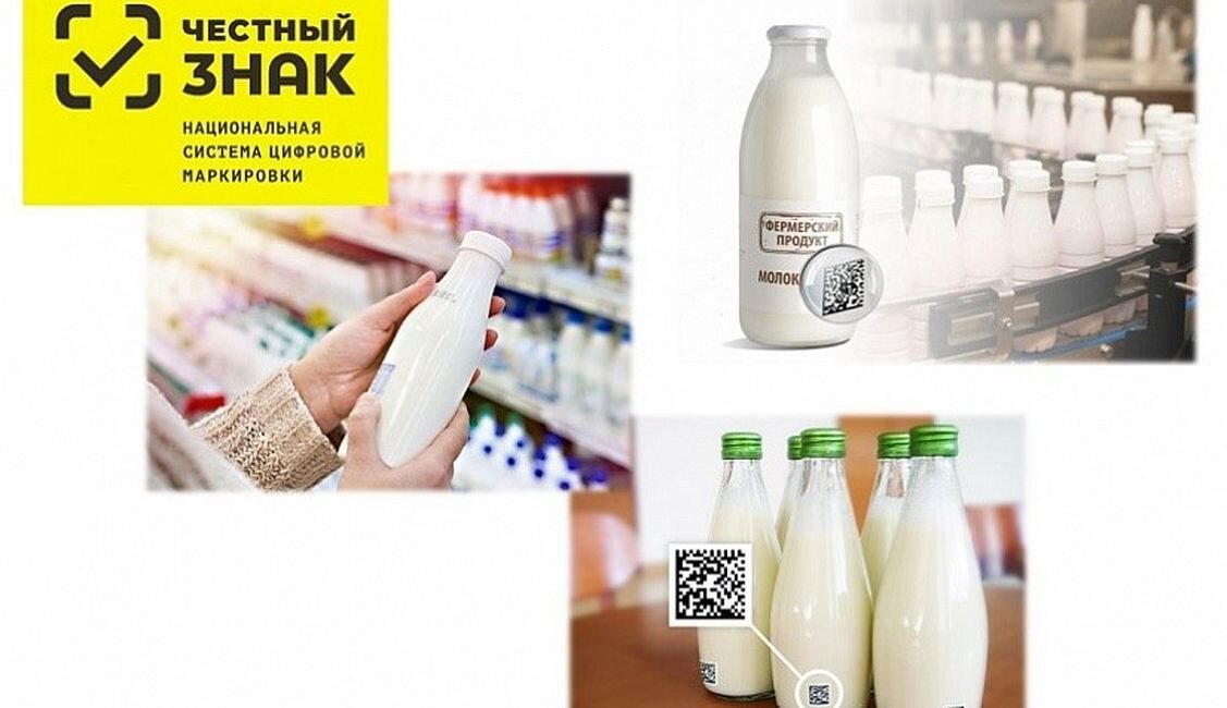 Продукция 6