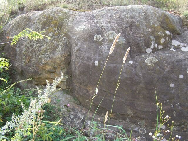 Макошь в образе Жар-Птицы