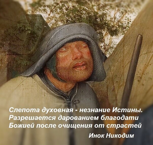 Из открытых источников Яндекса.