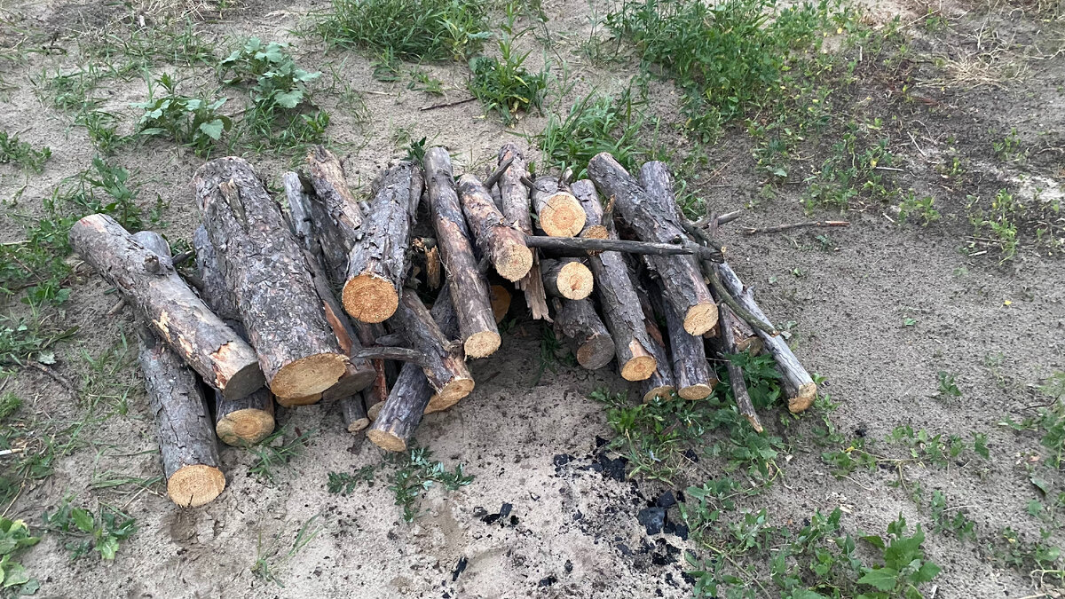 Дрова. Фото автора.