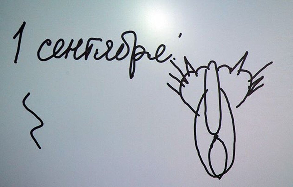    Рисунок «Кошка, вид сзади»