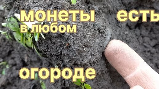 Монеты есть,как всегда. На огородах с equinox