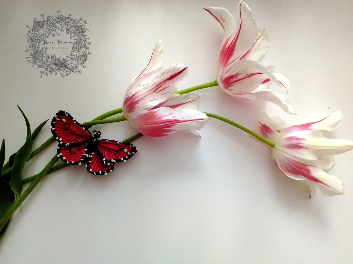 Брошь-бабочка "Данаида" из серии "Метаморфозы" распивает нектар