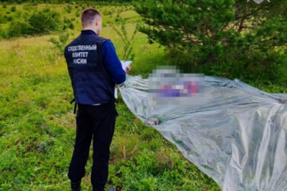    59-летнего нижегородца задержали за убийство пенсионерки из-за ягод