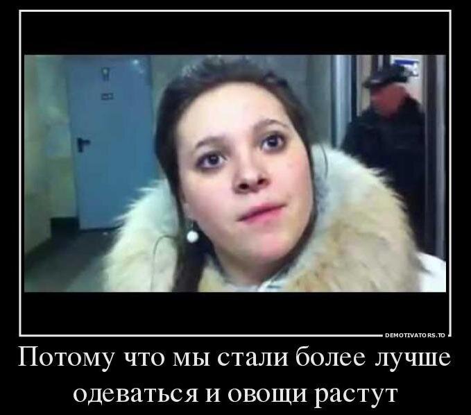 картинка яндекс