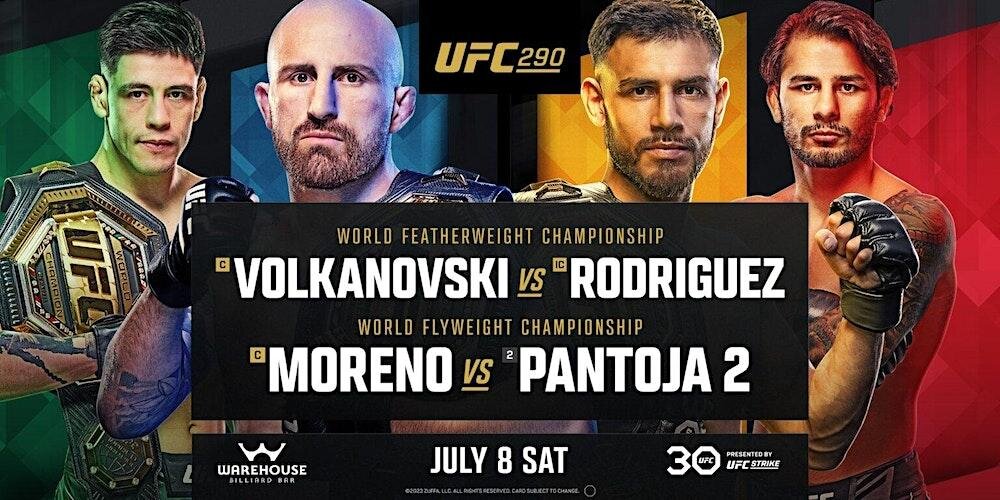     UFC 290