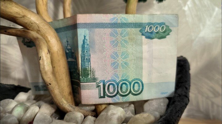 MAKSIM KONSTANTINOV/GLOBALLOOKPRESS 