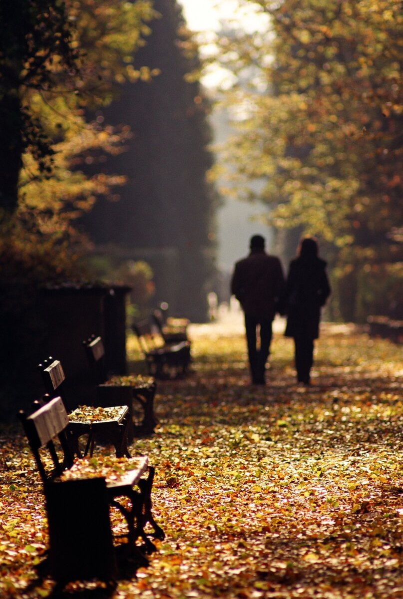 Фото с https://photo.99px.ru/photos/download/307550/