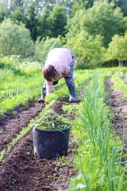 Фото с https://ru.freepik.com/premium-photo/woman-removes-weeds-from-the-soil-on-the-vegetable-garden_36488882.htm
