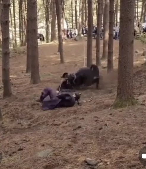 Фото взято из открытых источников 