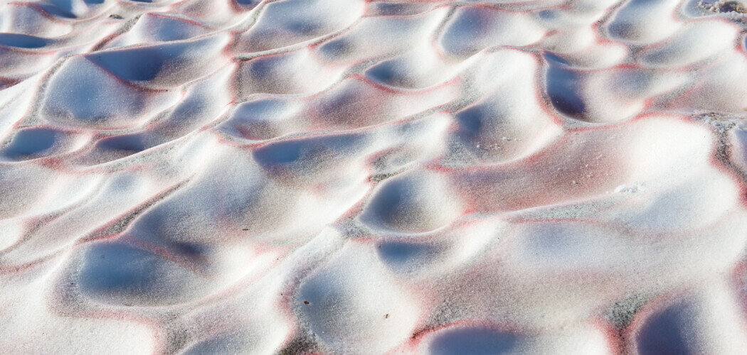 Розовый снег ледника ИГАН. Полярный Урал, Россия Фото: © Karasev Viktor / Shutterstock / FOTODOM