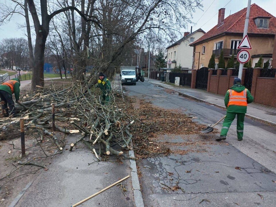    . мэрия Калининграда