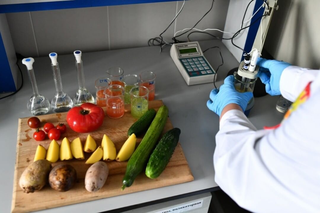 Тест качества лаборатория. Экспертиза фруктов и овощей. Качество пищевых продуктов. Ветеринарно санитарная экспертиза овощей и фруктов. Лабораторные исследования продуктов.