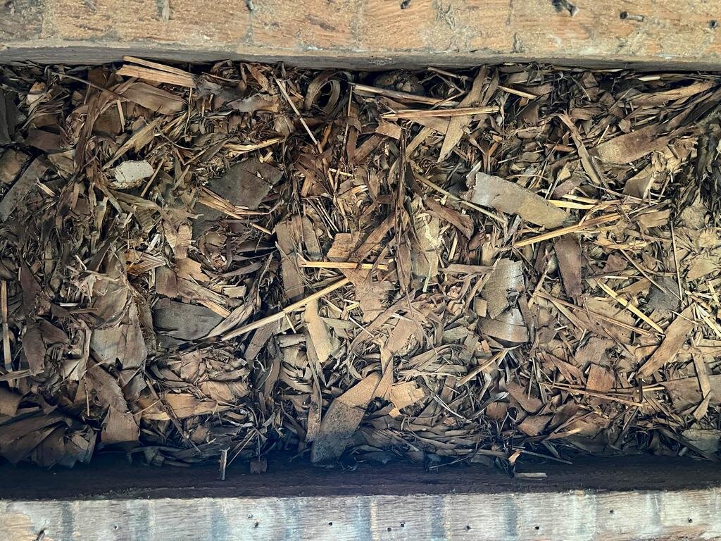 Фото с сервиса Яндекс-картинки.