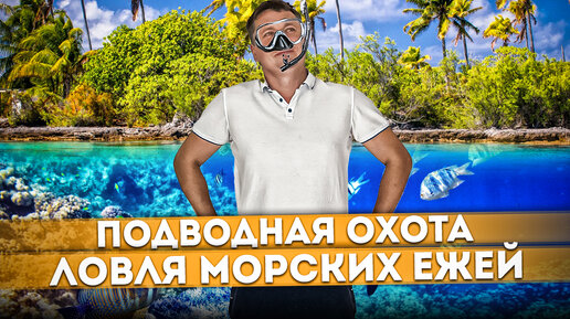 Подводная охота или ловля морских ежей на острове Лохифуши | Мальдивы #9